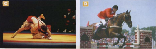 Pictures C and D